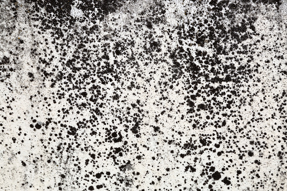 Grunge Flakes