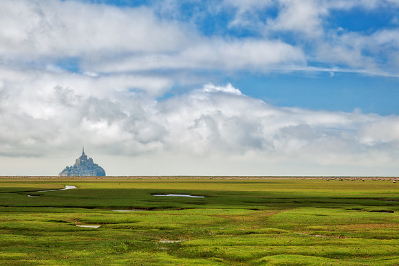 Normandy Fantasy Pasture