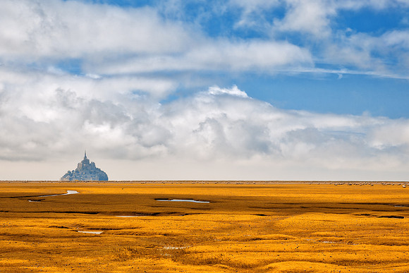 Normandy Gold Fantasy Pasture