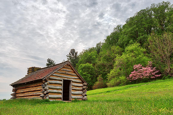 Valley Blossom Forge
