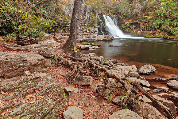 Rugged Abrams Falls