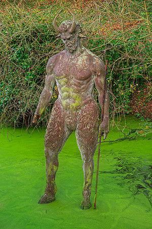 Jersey Satyr