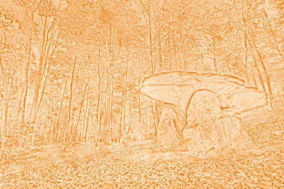 Vintage Dolmen Forest