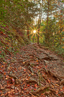 Smoky Mountain Sunburst Trail