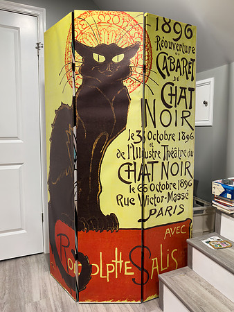Chat Noir Divider