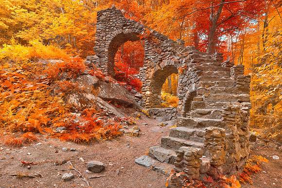 Forest Inferno Ruins