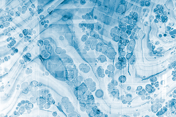 Cellular Blueprint