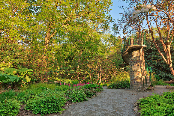 Clyne Gardens Tower Path