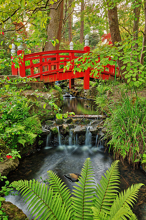 Japanese Bridge Stream - Clyne Gardens