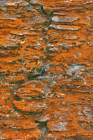 Grunge Furnace Wall