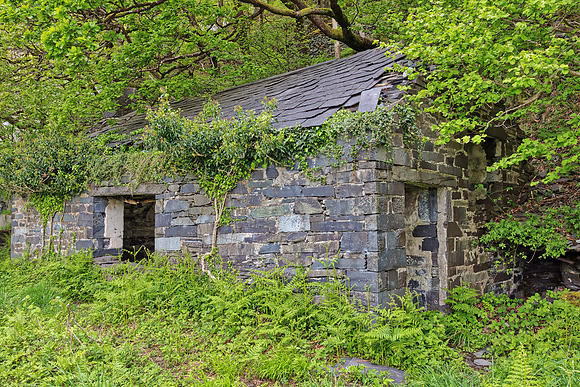 Organic Quarry Ruins