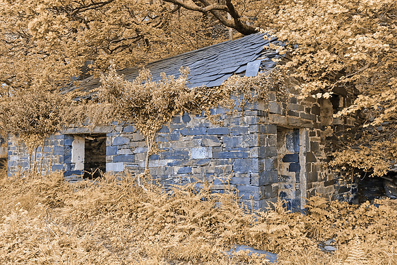 Blueberry Cream Ruins