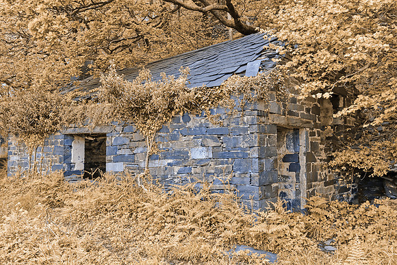 Blueberry Cream Ruins