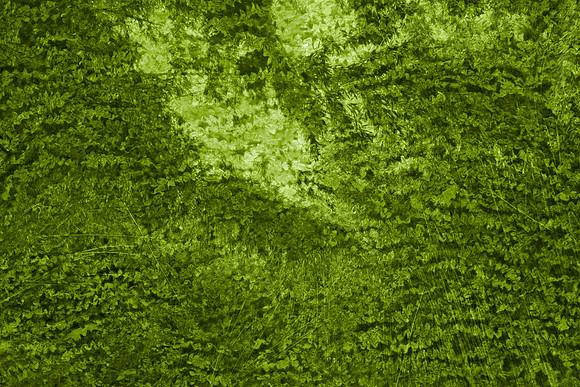 Abstract Bamboo Coral