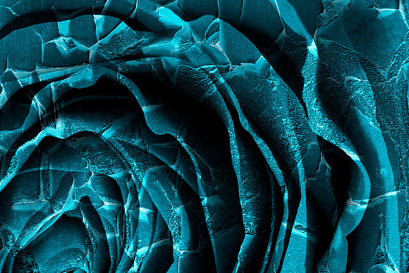 Nuclear Winter Rose
