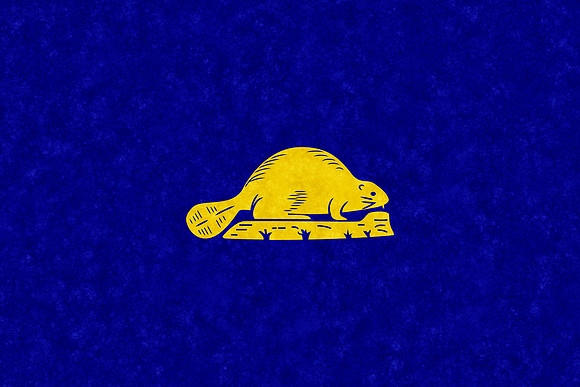 Velvet Flag - Oregon (reverse)