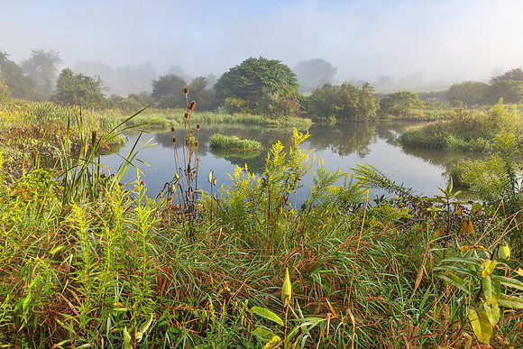 Lifting Mist of Old Crow Wetlands