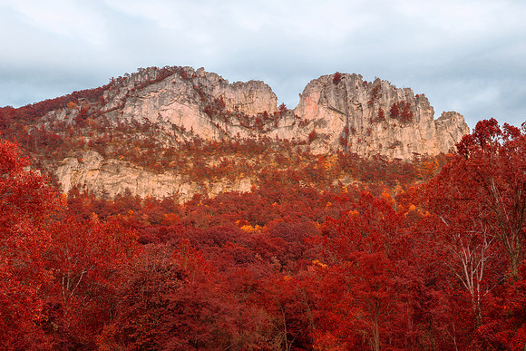 Seneca Rocks - Red Autumn Fantasy