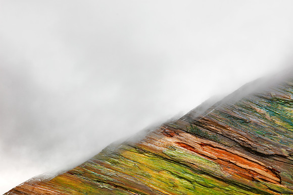Painted Wood Mountain Fog