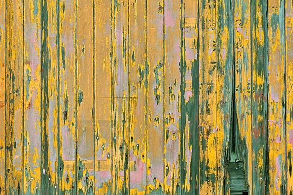 Vibrant Dilapidation