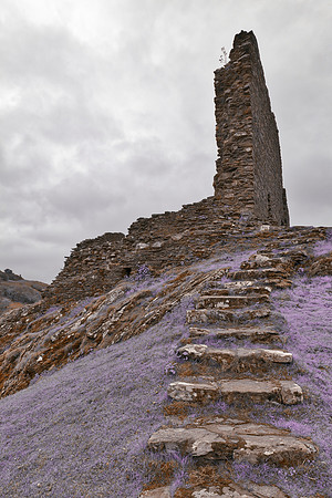 Dolwyddelan Step Castle Ruins - Purple Fantasy