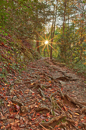 Smoky Mountain Sunburst Trail