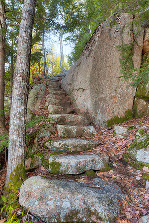Acadia Stone Staircase