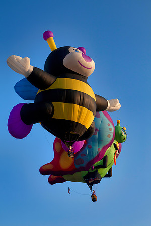 Bug Balloons