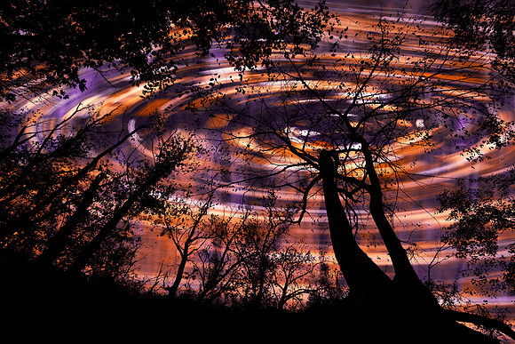 Forest Night Vortex