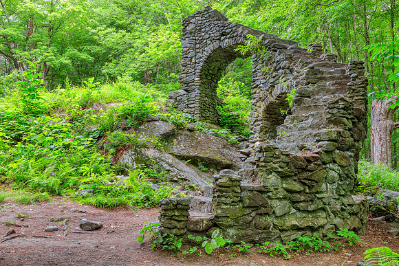 Madame Sherri Forest Ruins