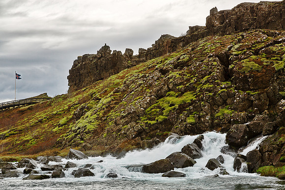 Rugged Iceland Moss Stream