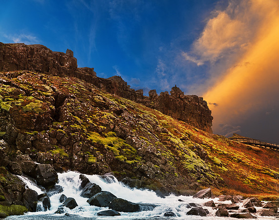 Rugged Iceland Moss Sunset