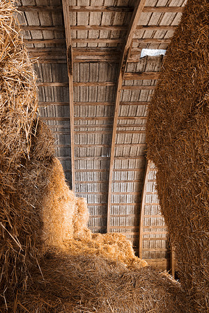 Barn Hay