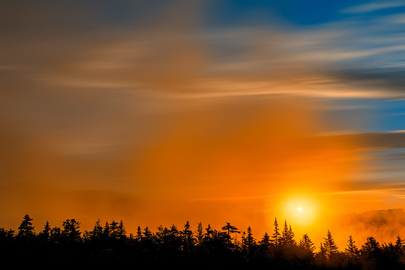 Gold Rapture Sunset