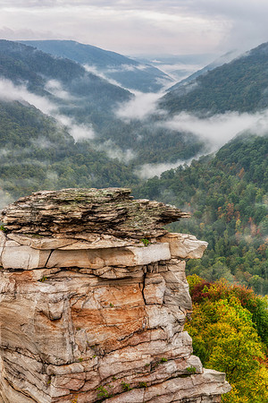 Fog Sentinel of Lindy Point