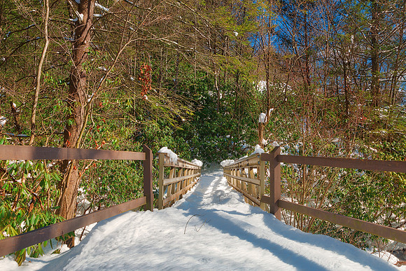 Hickory Run Winter Bridge