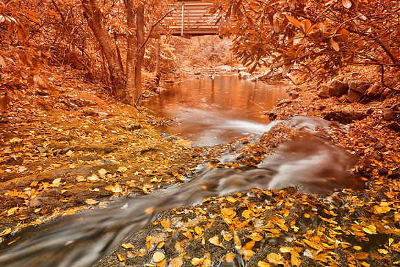 Hawk Run Autumn Fantasy