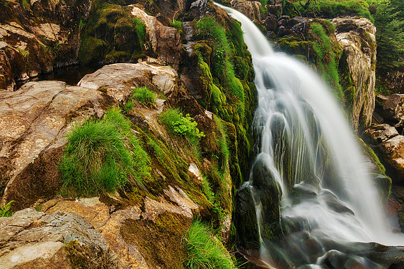 Loup of Fintry Moss Waterfall