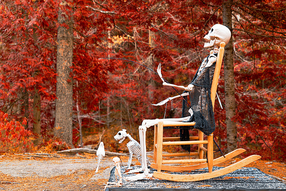Bad to the Forest Bones