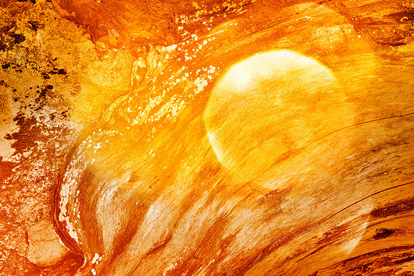 Gold Bokeh Wood Decay