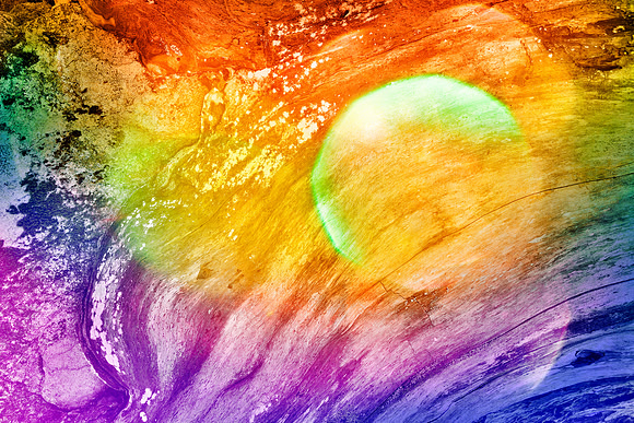 Vibrant Bokeh Wood Decay