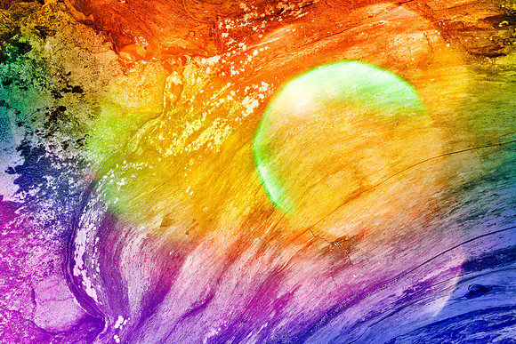 Vibrant Bokeh Wood Decay