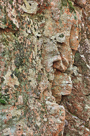 Acadia Rock Face