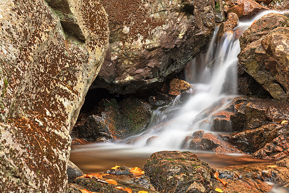 Fluid Frame of Hadlock Brook