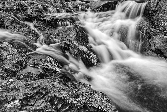 Beaver Pond Cascades - Black & White
