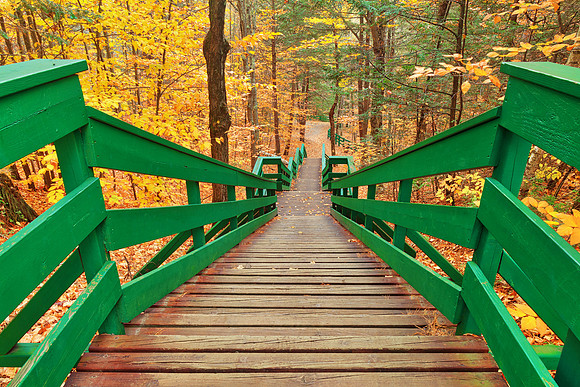 Autumn Dorwin Staircase
