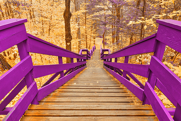 Dorwin Fantasy Staircase