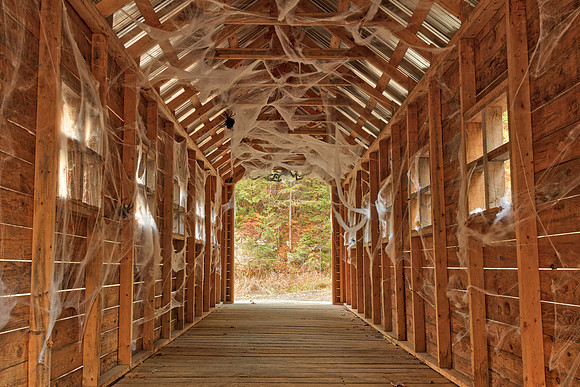 Cobweb Covered Bridge