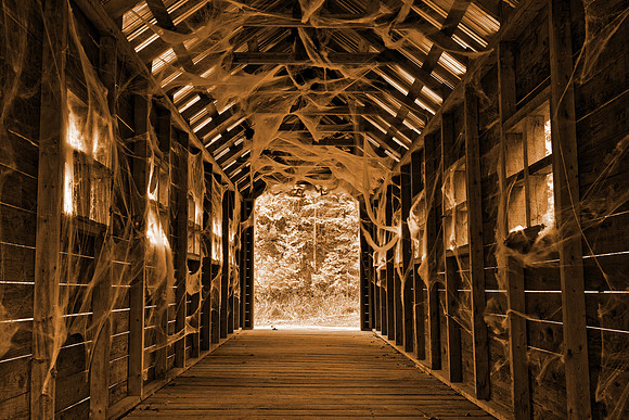 Cobweb Covered Bridge - Sepia Shivers