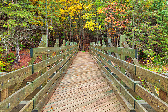 Autumn Bonshaw Bridge